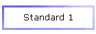 Standard 1
